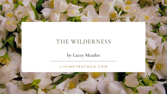 The Wilderness